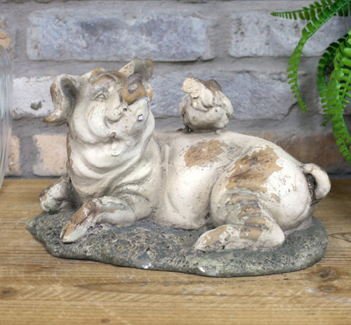 Percy the laying pig garden - laying,