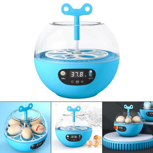 Automatic egg incubator - automatic,
