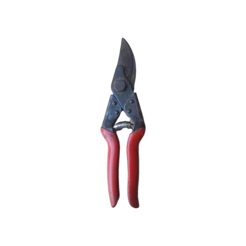 Felco secateurs pruning - felco,