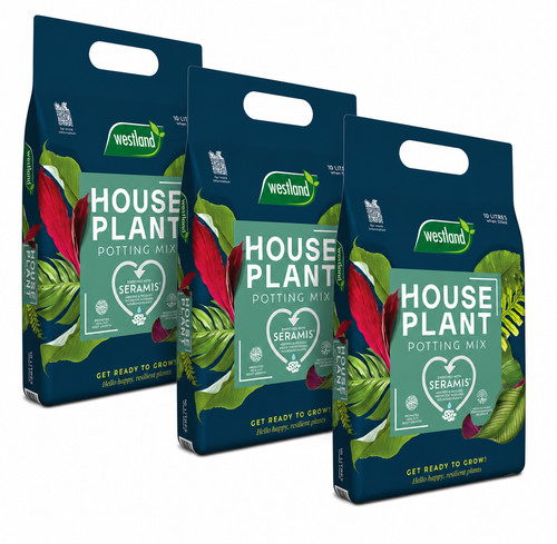 Westland houseplant potting - houseplant,