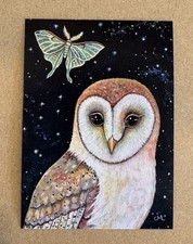 Barn Owl ACEO Magnet Print