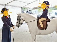 Pretty Ponies Navy Tweed Lead Rein Outfit