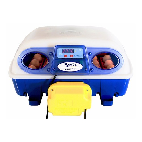 Borotto real egg incubator - borotto,