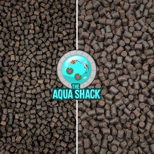 Premium sturgeon pellets - sturgeon,