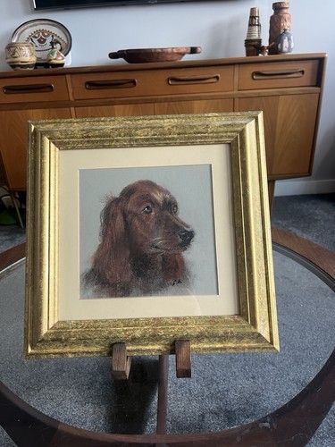 Original art dog - red, setter