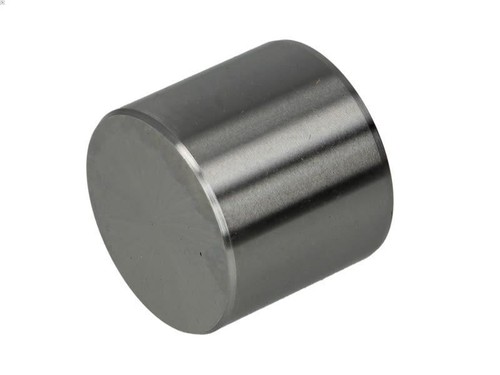 Tappet kolbenschmidt 50007549 - tappet,