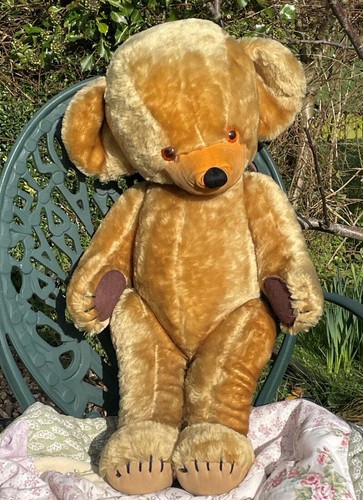 Large old cheeky - 25", 'cheeky