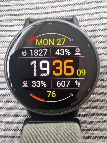 Garmin vivoactive - garmin, 5