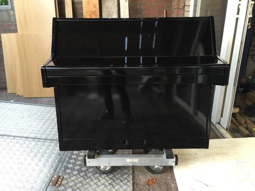 Small black gloss - black,