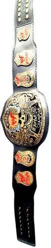 Unofficial bootleg wwe smoking