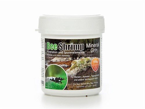 Salty shrimp minerals - shrimp, and