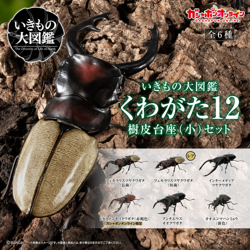 Ikimono daizukan stag - ikimono, beetle