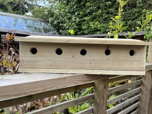 Sparrow nest bird box - nest,