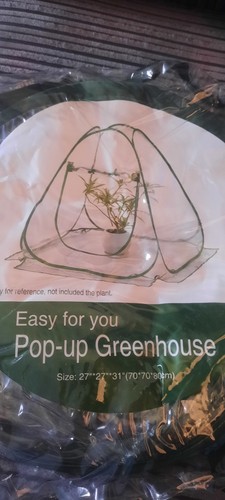 Pop mini greenhouse - mini,
