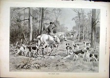 Original Old Antique Print