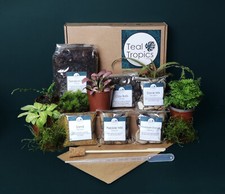 Terrarium Substrate Kit -