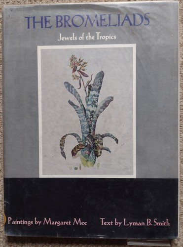 The bromeliads jewels - jewels, of