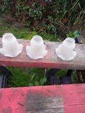 Frosted Ruffled Tulip Bell