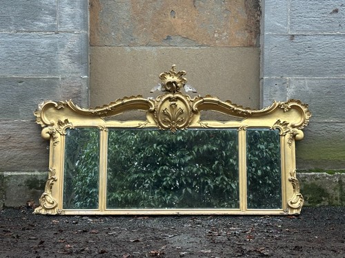 Scottish italian gilded - scottish/italian,