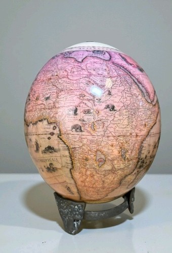Authentic ostrich egg - ostrich,