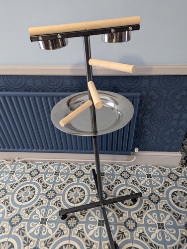 Bar parrot play - parrot, stand
