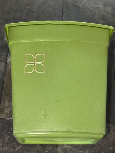 Vintage avocado green - vintage,