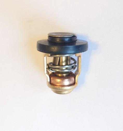 Thermostat for yamaha - for,