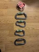 Tree Climbing Carabenas And