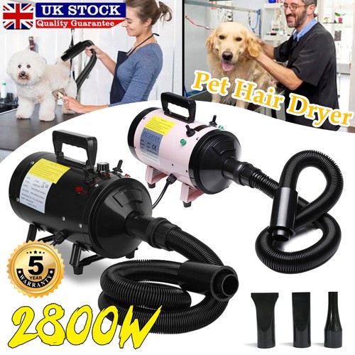 Pet dryer 2800w - pet,
