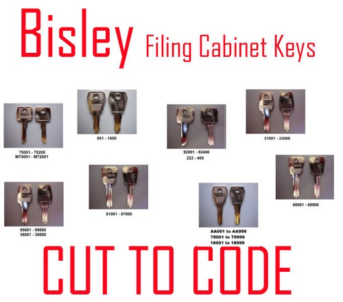 Bisley replacement filing - bisley,