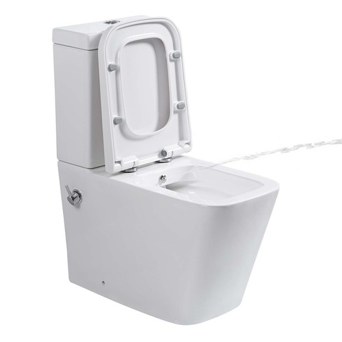 Rimless close coupled toilet - coupled,