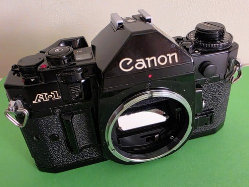 Canon 35mm slr film - 35mm,