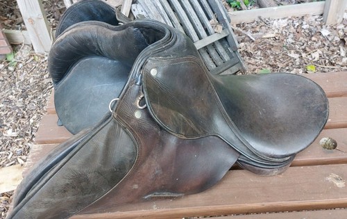 Falcon hawk saddle - hawk, for