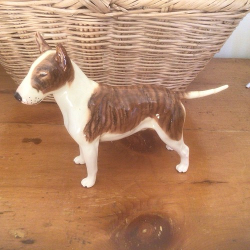 Large beswick bull - large, terrier