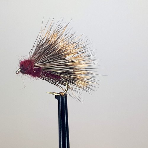 Sedge hog claret - x,