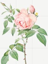 Tile Mural/Mosaic Ceramic