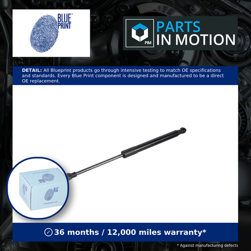 Boot gas strut fits - fits, iq