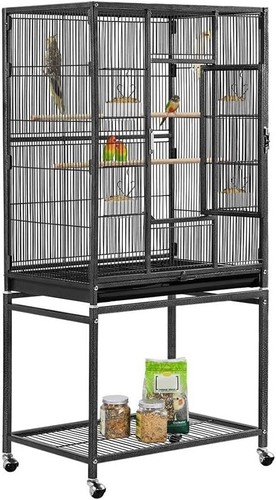 Bird cage flight - flight, parrot