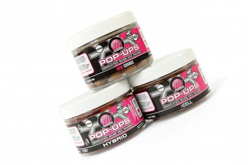 Mainline baits dedicated - baits, base