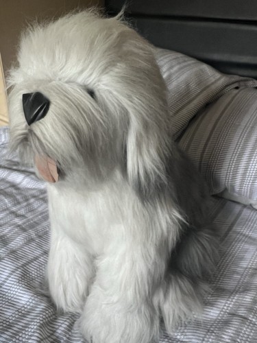 Vintage old english - old, sheepdog