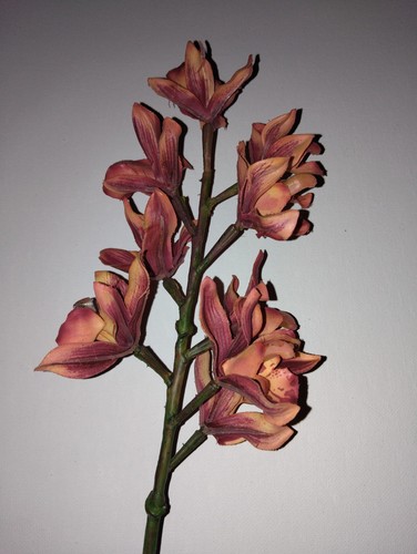 Artificial cymbidium stem - artificial,