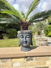 Buddha Head Garden Grey Stone
