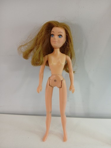 Vintage 1971 hasbro the - hasbro, world