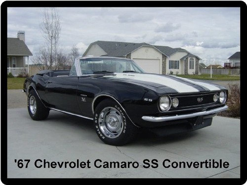 Chevrolet camaro ss - '67,
