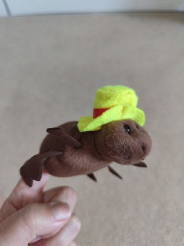 Incy wincy spider finger - incy,