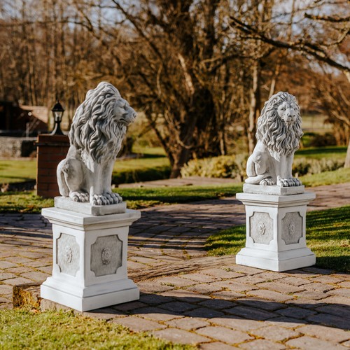 Pair lions stone - of, on