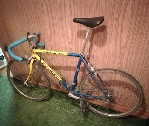 Peugeot richart virenque - richart,