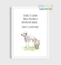 Bedlington Terrier Picture