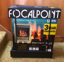 🔥 Focal Point Coal Effect