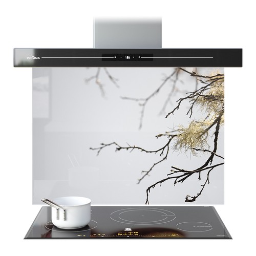 Kitchen glass splashback - kitchen,